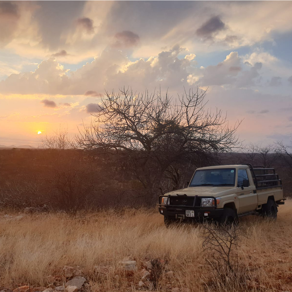 MackD Safari 6 MackD Safari 6